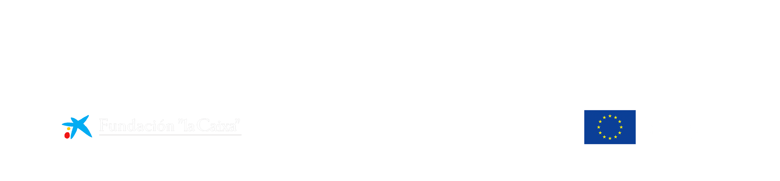 Fundacio-La-Caixa-joves-WEBS